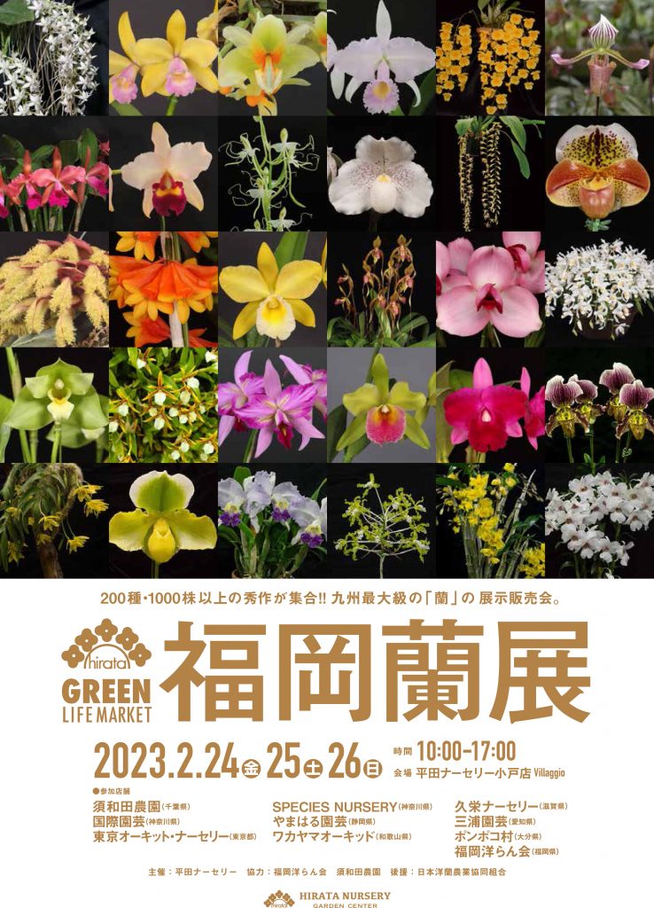 福岡蘭展