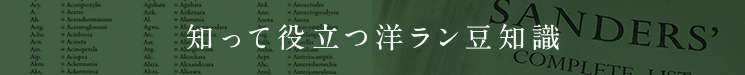 知って役立つ洋ラン豆知識