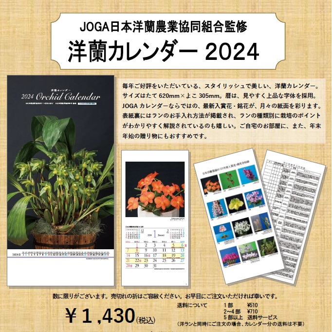 洋蘭カレンダー2024　販売中